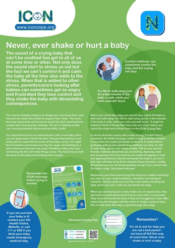 Show details for ICON – Poster – Never, ever shake or hurt a baby